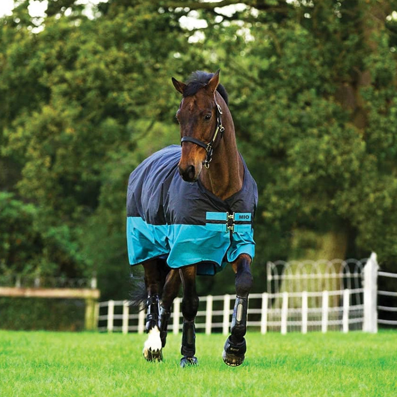 134137_1_Horseware_Pferdedecke-Mio-Turnout-Medium-200g
