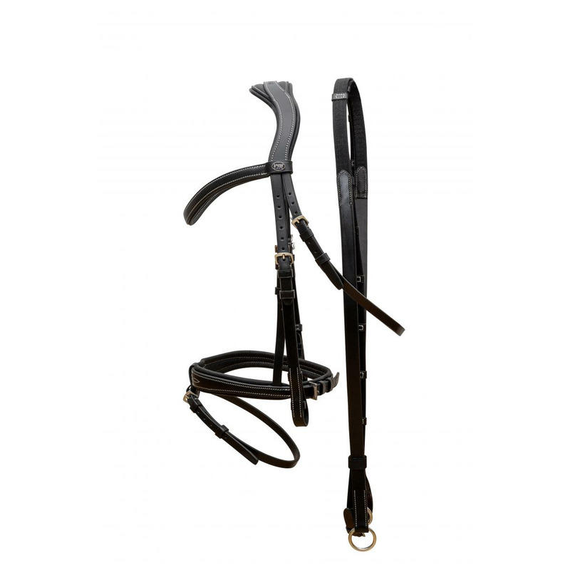 291485_1_Passier_Springtrense-No-Limits