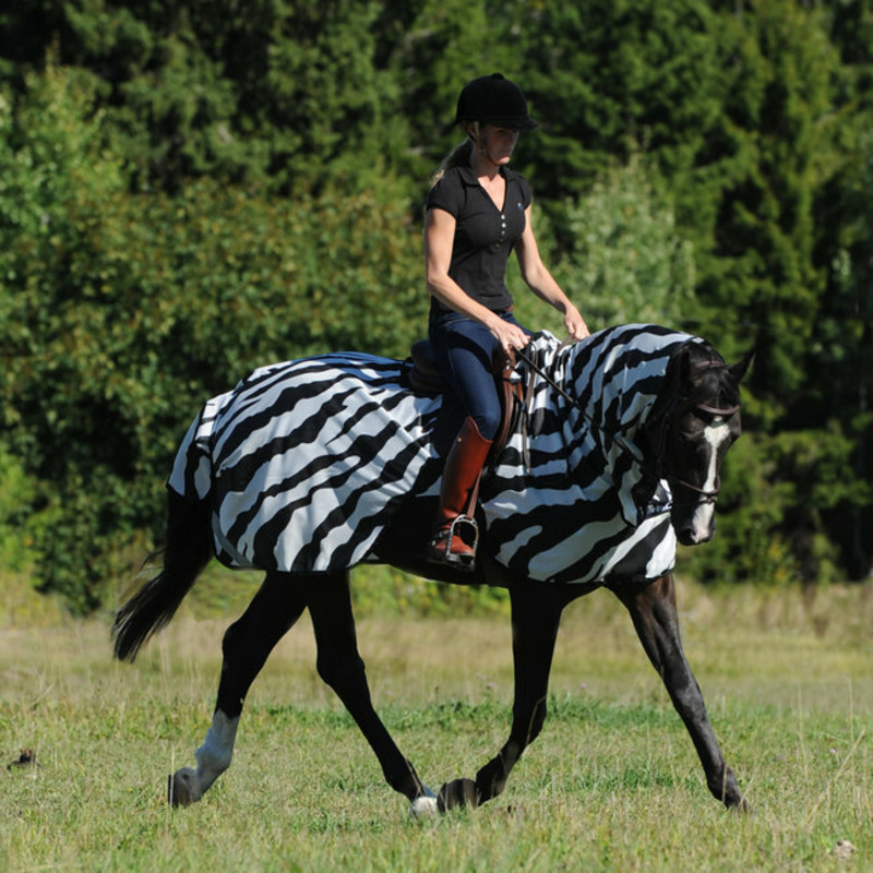 293675_1_Bucas_Ausreitdecke-Buzz-Off-Riding-Zebra