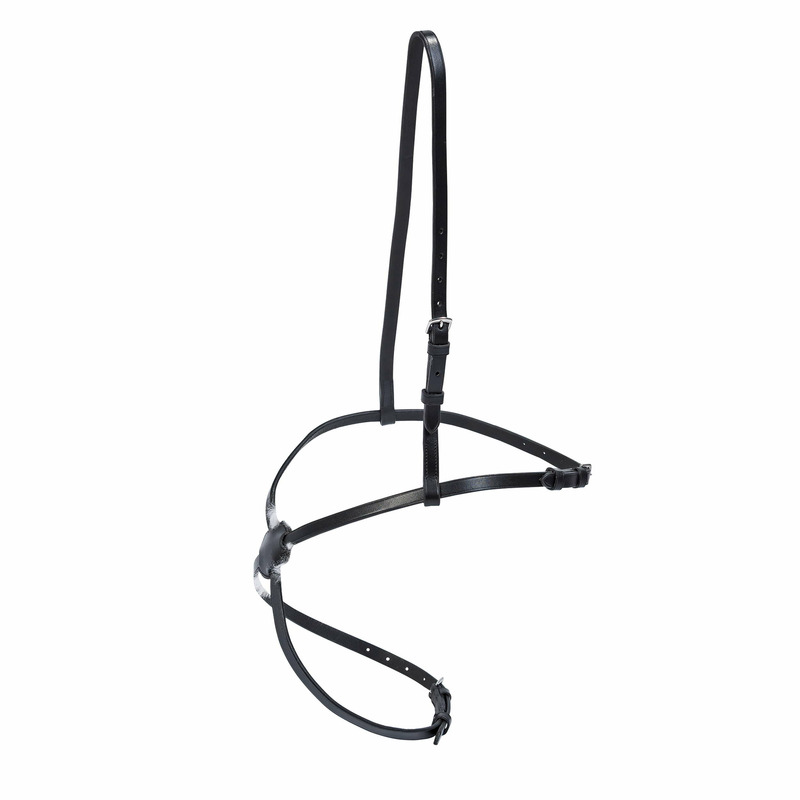 336829_1_Busse_Reithalfter-MEXICO