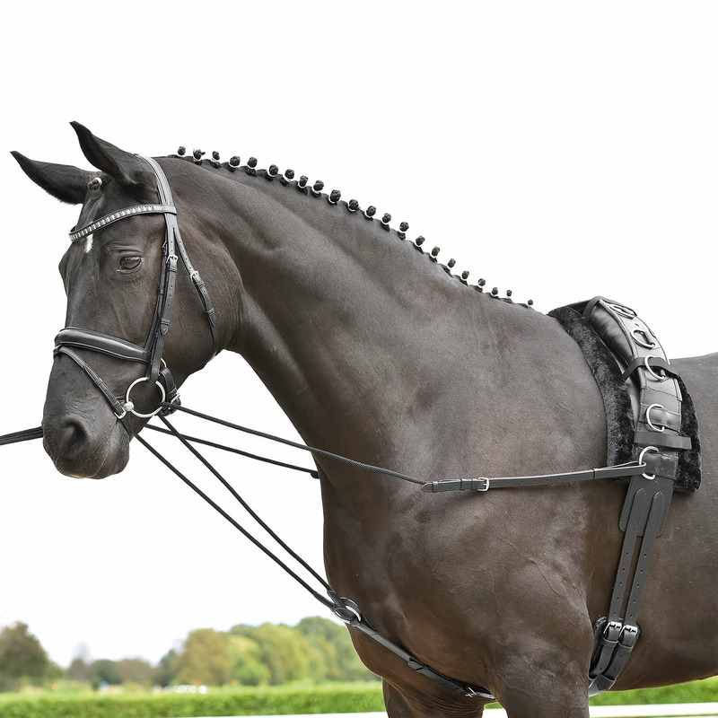 337844_1_Busse-Everline_Dreieckszgel-BASIC-KORDEL