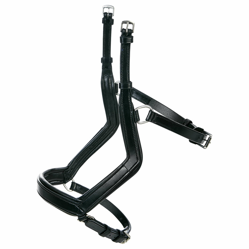 339255_1_Busse_Reithalfter-MODENA