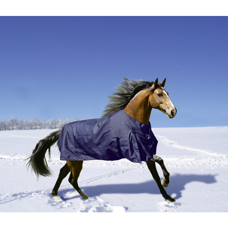 80969_1_Euroriding_Winterdecke-Yukon-navy